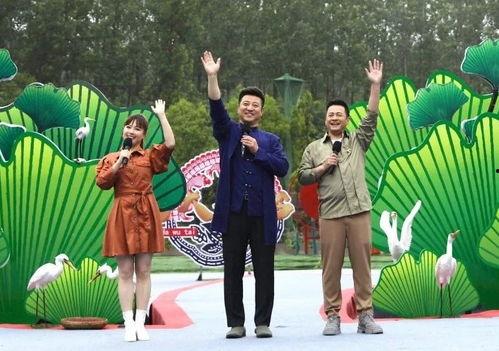 权哥商业爆料视频大全最新,揭秘最新商业动态与行业趋势  第2张