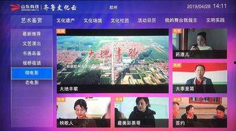 胶州最新爆料事件视频大全,视频大全揭秘真相  第1张